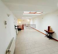 Ein heller Flur in einem Einfamilienhaus mit weißen Wänden und Dachfenstern.