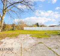 Ein Hof bei einem Einfamilienhaus in der Nemečkovská-Straße in Prašice mit gepflasterter Fläche und Bäumen.