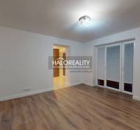 Wohnzimmer in einer 2-Zimmer-Wohnung mit Holzboden und französischem Fenster.