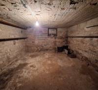 Keller mit unverputzten Ziegelwänden und Betondecke in einem Einfamilienhaus.