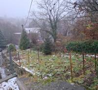 Ein grüner Garten bei einem Einfamilienhaus in der Búdková-Straße in Bratislava - Altstadt.
