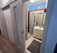 Badezimmer in einer Einzimmerwohnung mit Waschbecken, Duschkabine und Boden mit Holzdekor.