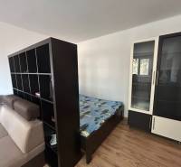 1-Zimmer-Wohnung mit ausziehbarem Sofa, Regal, Bett und Schrank. Boden mit Holzdekor.