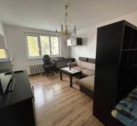 Wohnzimmer in einer Einzimmerwohnung mit Sofa, Tisch und Holzboden.