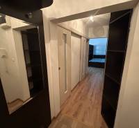 Innenraum einer 1-Zimmer-Wohnung mit Holzboden, Spiegel und Stauraum.