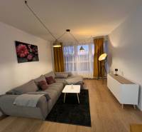 Wohnzimmer in einer Zweizimmerwohnung mit Sofa und Holzboden.