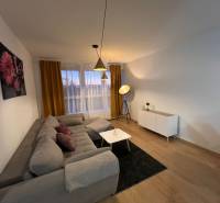 Wohnzimmer in einer Zweizimmerwohnung mit Sofa und Holzboden.