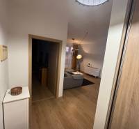 Der Flur in einer 2-Zimmer-Wohnung mit einem Boden in Holzoptik, der ins Wohnzimmer führt.