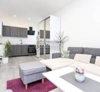 Wohnzimmer in einer 2-Zimmer-Wohnung mit Küchenzeile und Boden in Holzoptik.