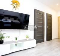 Wohnzimmer in einer Zweizimmerwohnung mit Fernseher, zwei Türen und Pflanzen.