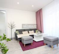 Wohnzimmer in einer Zweizimmerwohnung mit Sofa, Couchtisch und Pflanzen.