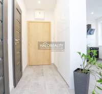 Flur in einer 2-Zimmer-Wohnung mit Fliesen, Holztüren und einer Pflanze im Blumentopf.