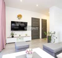 Wohnzimmer in einer 2-Zimmer-Wohnung mit Fernseher, Pflanzen und einem Boden in Holzoptik.