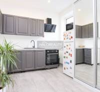 Küche in einer 2-Zimmer-Wohnung mit weißen Wänden, grauen Schränken und einer Pflanze.