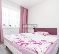 Schlafzimmer in einer Zweizimmerwohnung mit rosa Vorhängen und bunten Bettbezügen.