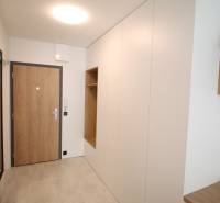 Eingangsbereich einer Einzimmerwohnung mit Holzboden und Holztüren.