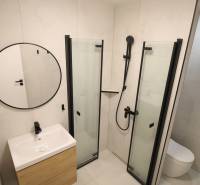 Badezimmer in einer Einzimmerwohnung mit verglaster Duschkabine und minimalistischem Design.