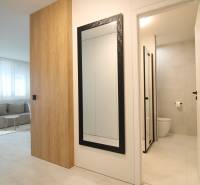 Flur mit großem Spiegel und Badezimmer in einer Einzimmerwohnung. Boden mit Holzdekor.