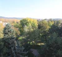 Blick von der Straße Valová in Piešťany mit dichtem Grün und sanften Hügeln im Hintergrund.