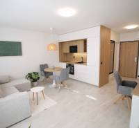 Innenraum einer Einzimmerwohnung mit Küchenzeile, grauem Sofa und Esstisch.