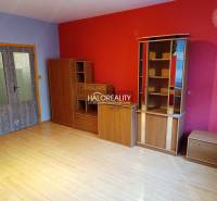 Ein Zimmer in einer 3-Zimmer-Wohnung mit einem Boden in Holzoptik und einer roten Wand.