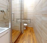 Badezimmer in einer Einzimmerwohnung mit Duschkabine und Boden in Holzoptik.