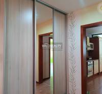 Einzimmerwohnung mit Küche, Holzvertäfelung und Einbauschrank.