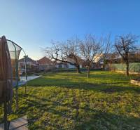 Ein Garten bei einem Einfamilienhaus in der Sonnenstraße in Nové Mesto nad Váhom, mit Bäumen und einem Trampolin.