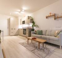 Wohnzimmer in einer Einzimmerwohnung mit Sofa, Küchenzeile und Holzboden.