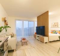 Innenraum einer Einzimmerwohnung mit einem Boden in Holzoptik und einer gemütlichen Sitzecke.