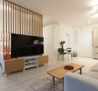 Helles Wohnzimmer in einer Einzimmerwohnung mit Holzwand und Fernseher, Boden mit Holzdekor.