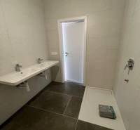 Badezimmer mit großem Waschbecken und Duschwanne in einer 2-Zimmer-Wohnung.