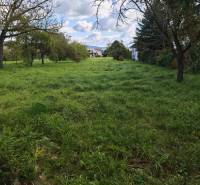 Grünflächen und Bäume auf einem Wohngrundstück an der Straße Malá Domaša, Vranov nad Topľou.