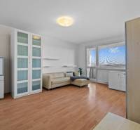 Wohnzimmer in einer Einzimmerwohnung mit Holzboden, Sofa und Vitrine.