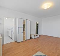 Wohnzimmer in einer Einzimmerwohnung mit Holzboden und Einbauschränken.