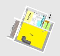 Grundriss einer Einzimmerwohnung mit Vorraum, Badezimmer und Loggia.