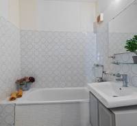 Badezimmer mit gemusterten Fliesen, Badewanne und Pflanze in einer Einzimmerwohnung.