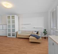 Helles Wohnzimmer in einer Einzimmerwohnung mit Sofa, Vitrine und Holzboden.