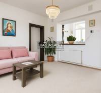 Helles Wohnzimmer in einem Einfamilienhaus mit grauem Sofa und grünen Pflanzen.