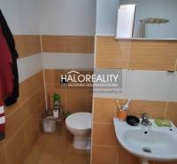 Badezimmer mit Toilette und Waschbecken in einer Einzimmerwohnung mit Fliesen in warmen Tönen.