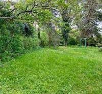 Garten mit Bäumen in der Vetvová-Straße in Bratislava - Altstadt, 3-Zimmer-Wohnung.