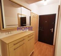 Der Flur in der 2-Zimmer-Wohnung mit einem Boden in Holzoptik, einem Spiegel und einem Schrank.