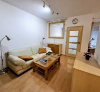 Wohnzimmer in einer Zweizimmerwohnung mit Sofa, Lampe und Holzboden.