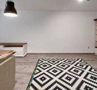 Wohnzimmer in einer 3-Zimmer-Wohnung mit Holzboden und gemustertem Teppich.