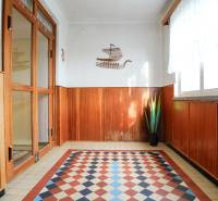 Innenraum eines Einfamilienhauses mit Holzdekor und farbigen Fliesen, verziert mit einer Pflanze.