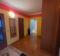 Ein farbiger Flur in einer 4-Zimmer-Wohnung mit Holzboden und einem eingebauten Schrank.