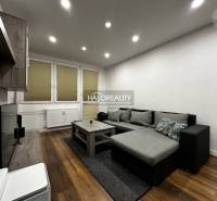 Wohnzimmer in einer Einzimmerwohnung mit Holzboden und Sofa.