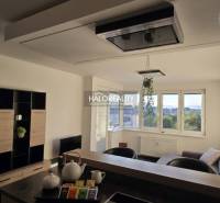 Wohnzimmer in einer Zweizimmerwohnung mit hellen Wänden und Fenstern, möbliert.