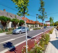 Schöne Straße mit Einfamilienhäusern in Malacky, Radweg und gepflegte Gärten.