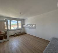 Helles Zimmer mit Holzboden in einer Einzimmerwohnung.